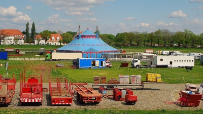 2008 Circus Busch-Roland Dresden