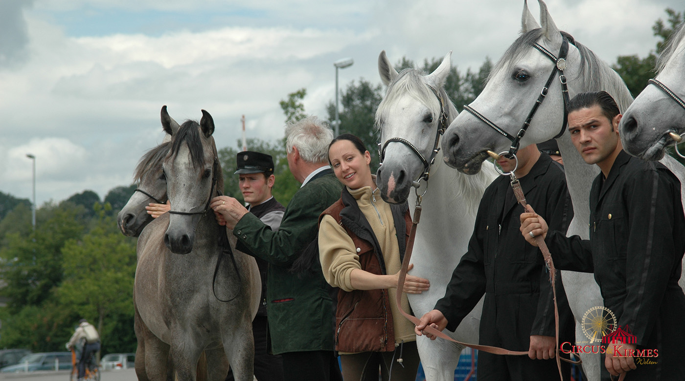 2007 Neue Hengste für den Circus Krone