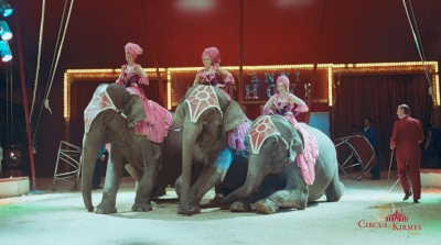 1993 Circus Giovanni Althoff Programm
