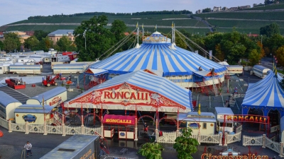 2013 Roncalli Würzburg