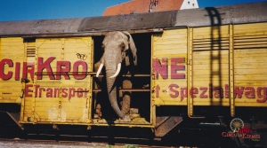 1990 KRONE Memmingen