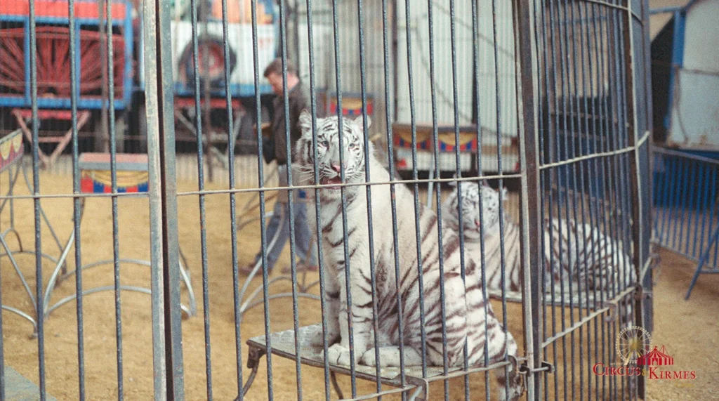 Circus Barum 2000er Jahre