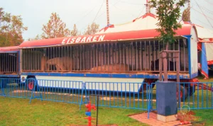 Bildarchiv Circus Barum 1993 Duisburg