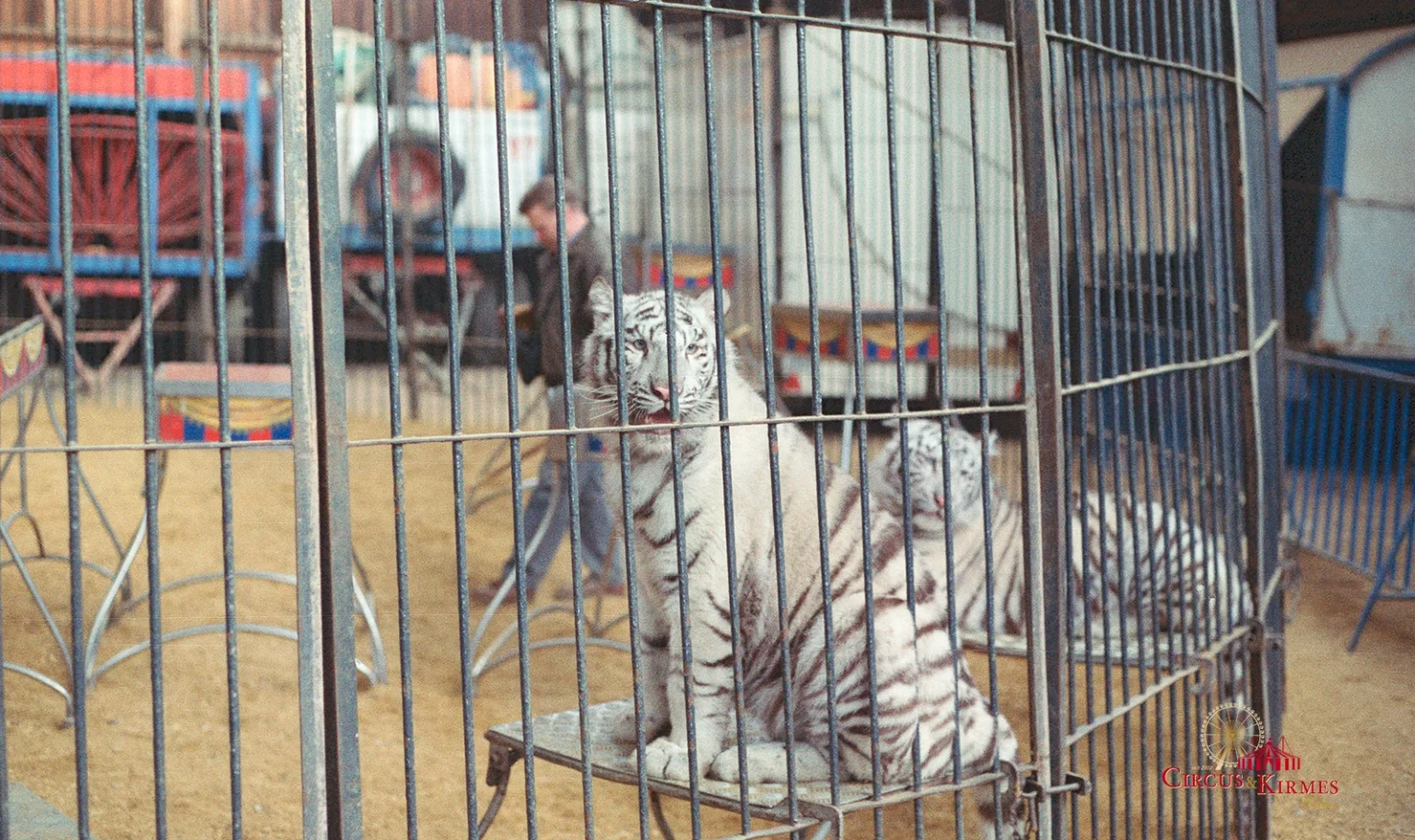 1993 Barum Einbeck WQ