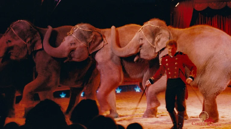 1995 Knie in Bern Show