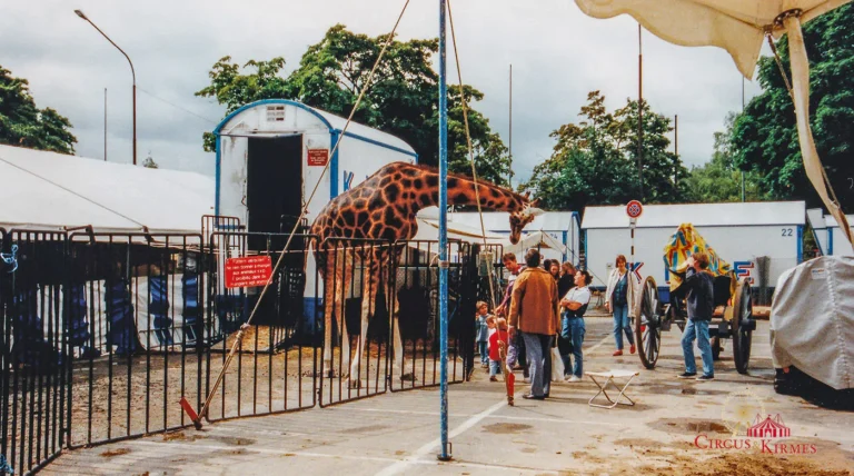 1998 Knie in Bern