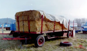 2000 Zirkus Probst in Wernigerode